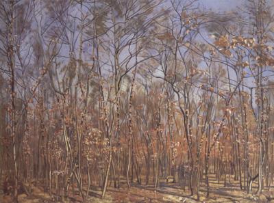 Ferdinand Hodler The Beech Forest (nn02) china oil painting image